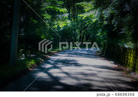 曲がり道に木漏れ日 曲がり道に木漏れ日 68698368
