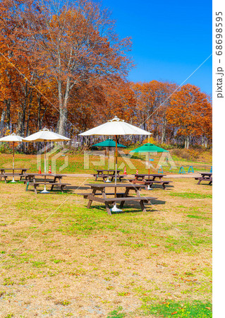 秋の野外カフェイメージ　ハクバマウンテンハーバー　【長野県】 68698595