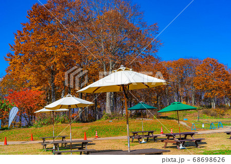 秋の野外カフェイメージ　ハクバマウンテンハーバー　【長野県】 68698626