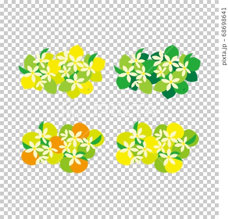 シトラス　イラスト　セット 68698641