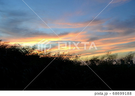 夏の土手の夕暮れ時の写真素材