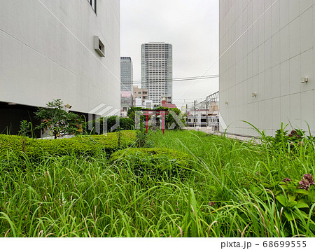 錦糸町 楽天地 伏見稲荷(東京都) 錦糸町 楽天地 伏見稲荷(東京都) 68699555