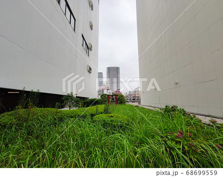 錦糸町 楽天地 伏見稲荷(東京都) 錦糸町 楽天地 伏見稲荷(東京都) 68699559