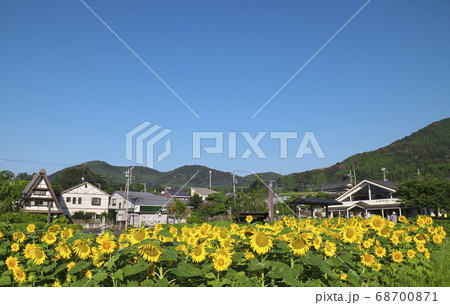 秦野　大倉バス停 68700871