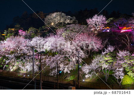 偕楽園 水戸の梅まつり ライトアップ外観夜景 （茨城県水戸市） 2019年3月 68701643