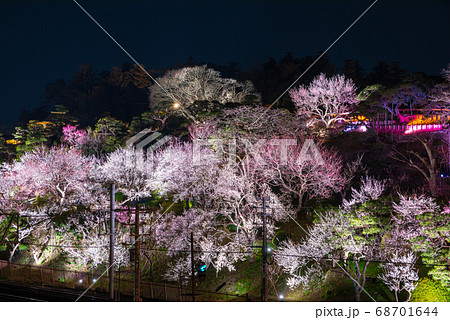 偕楽園 水戸の梅まつり ライトアップ外観夜景 （茨城県水戸市） 2019年3月 68701644