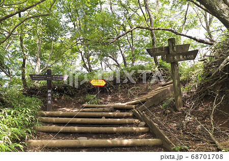 登山道 塔ノ岳 大倉尾根 登山道 塔ノ岳 大倉尾根 68701708