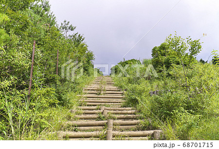 登山道 塔ノ岳 大倉尾根 登山道 塔ノ岳 大倉尾根 68701715