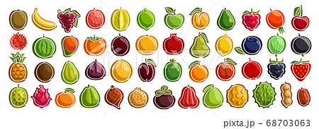 Vector set of fresh Fruits 68703063
