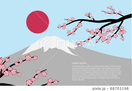 Fuji mountain background with cherry blossom and 68703198