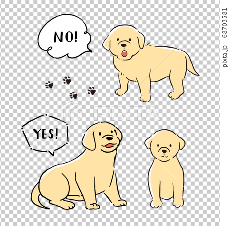 Labrador retriever line art vector illustration 68703581