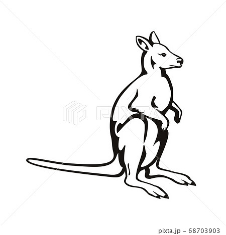 Wallaby Or Kangaroo Side View Retro Woodcut Blackのイラスト素材