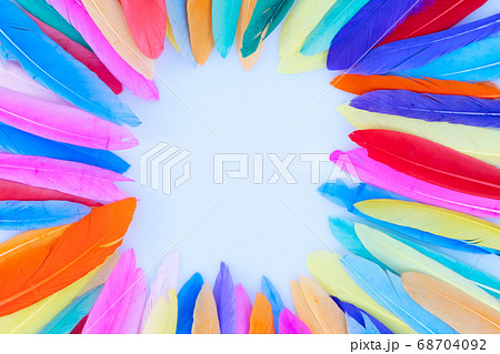 Colorful pattern made of feathers. 68704092