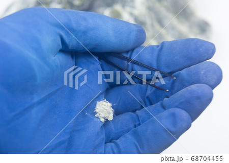 Mineral asbestos lies on the palm in a glove. 68704455