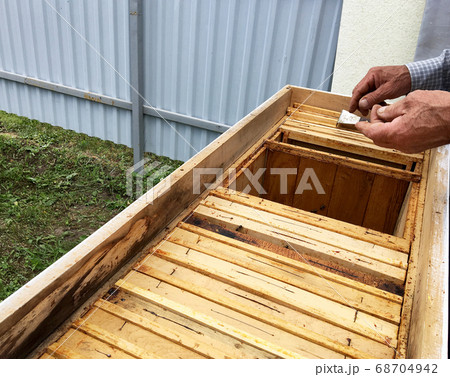 Winged bee slowly flies to beekeeper collect Winged bee slowly flies to beekeeper collect 68704942