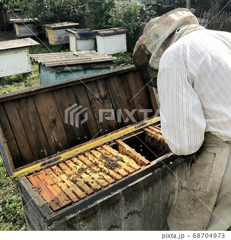Old grandfather beekeeper works on his own rural 68704973