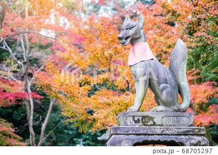 Fox sculpture in Fushimi Inari-taisha shrine in Fox sculpture in Fushimi Inari-taisha shrine in 68705297