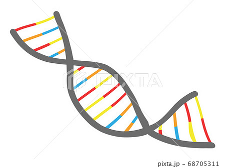 シンプルなdnaのイラストのイラスト素材