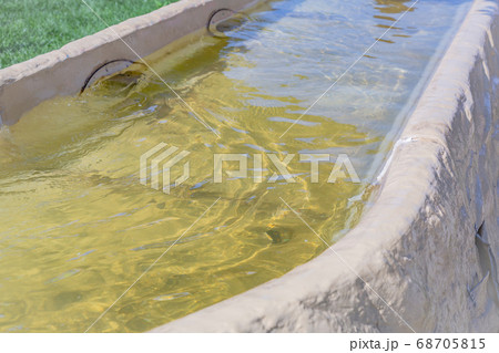 Man-made decorative water channel in the garden Man-made decorative water channel in the garden 68705815