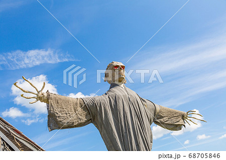 Homemade scarecrow in the garden on Halloween 68705846