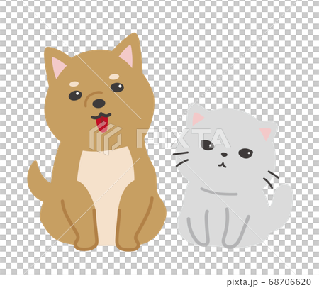 親近貓狗 68706620