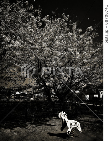 公園 公園 68706741