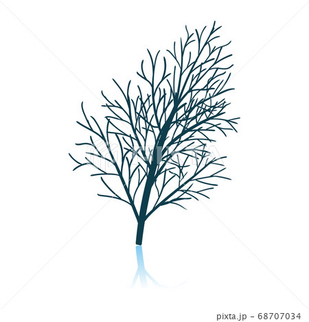 Dill Icon Dill Icon 68707034