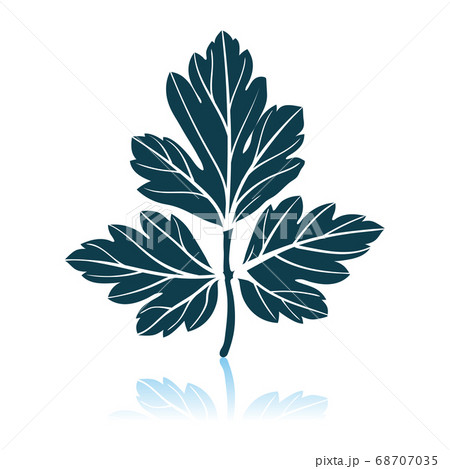 Parsley Icon Parsley Icon 68707035