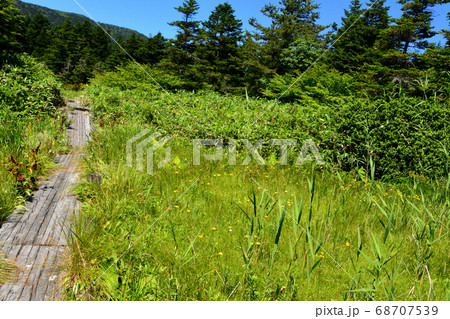 吾妻連峰 68707539