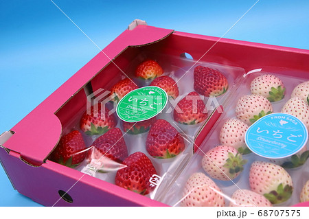 ふるさと納税返礼品　赤苺と白苺 68707575