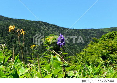 吾妻連峰 68707588