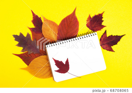 Multicolored maple and oak leaves with blank note 68708065