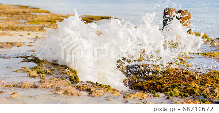 Wave splashing in white spray. 68710672