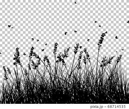 Meadow Backgroundのイラスト素材