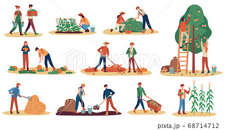Autumn harvest. Farm workers gathering crops ripe vegetables, picking fruits and berries, remove leaves, season agriculture vector set Autumn harvest. Farm workers gathering crops ripe vegetables, picking fruits and berries, remove leaves, season agriculture vector set 68714712