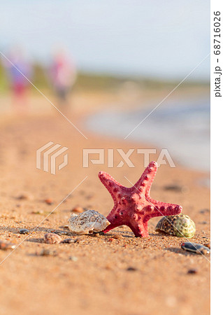 Summer beach in a tropical paradise with a Summer beach in a tropical paradise with a 68716026