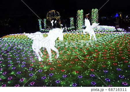 ペガサスのイルミネーションの写真素材