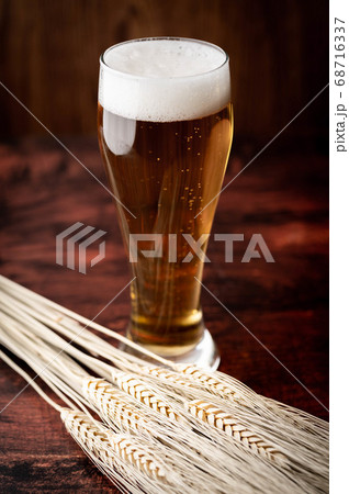 beer in tap with bunch of barley 68716337
