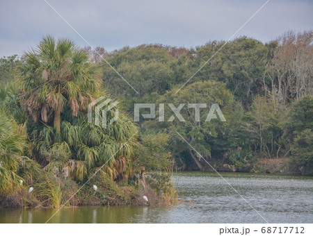 Shoreline at Kathryn Abbey Hanna Park, Duval County, Jacksonville, Florida. 68717712
