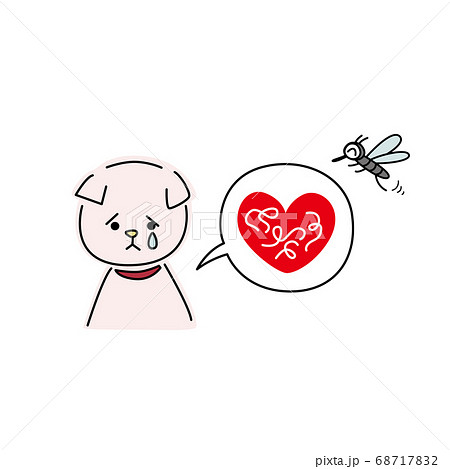 フィラリアに感染した犬（ピンク） 68717832