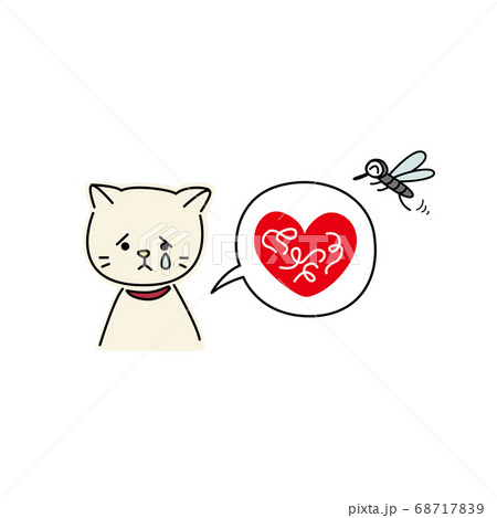 フィラリアに感染した猫（黄色） 68717839