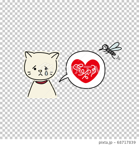 フィラリアに感染した猫（黄色） 68717839