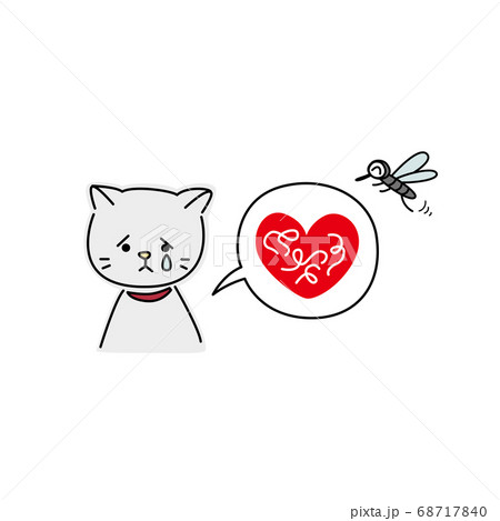 フィラリアに感染した猫(グレー) フィラリアに感染した猫(グレー) 68717840