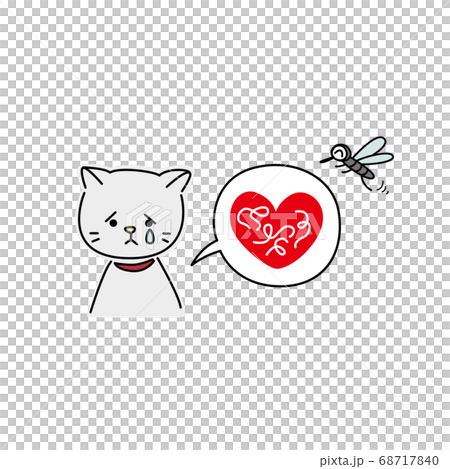 フィラリアに感染した猫(グレー) フィラリアに感染した猫(グレー) 68717840