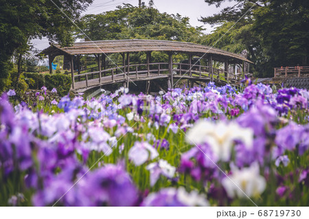 屋根付き橋と菖蒲園 68719730