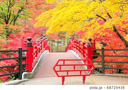 弥彦公園もみじ谷の紅葉 68720436