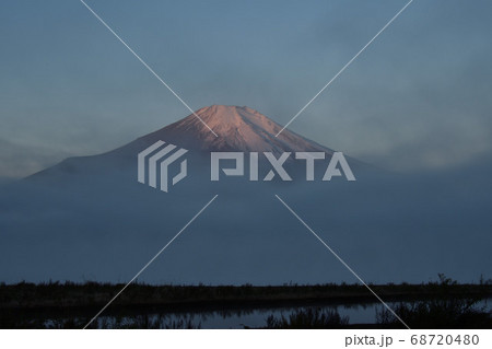 晩秋の山中湖、富士アザミ 晩秋の山中湖、富士アザミ 68720480