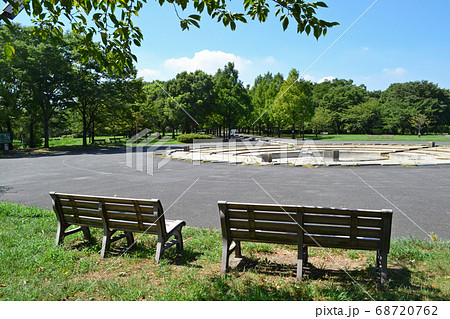 緑と広場とベンチ 公園のイメージ 足立区舎人公園にての写真素材