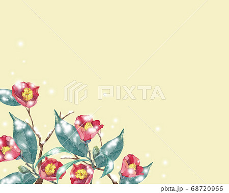 雪が積もった椿の水彩画 68720966