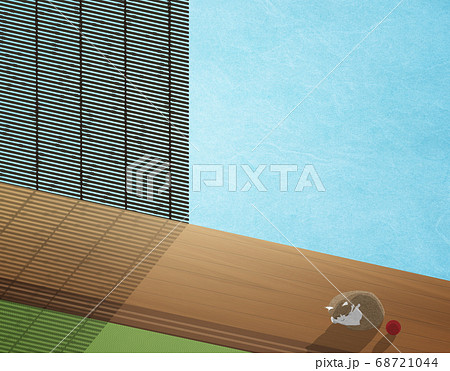 昼下がりの縁側でうたた寝をする猫 68721044